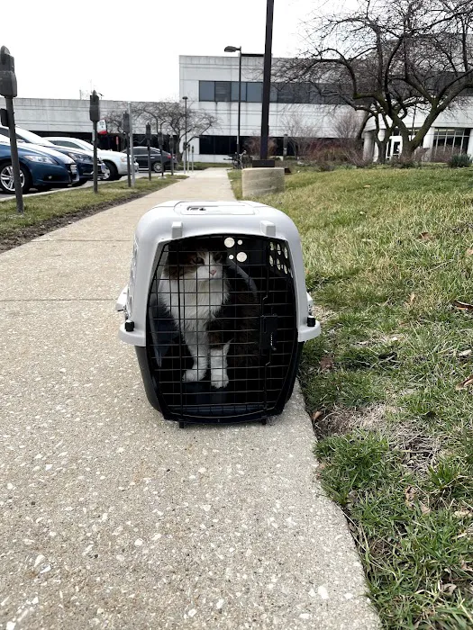 Medical District Veterinary Clinic at Illinois Picture 8