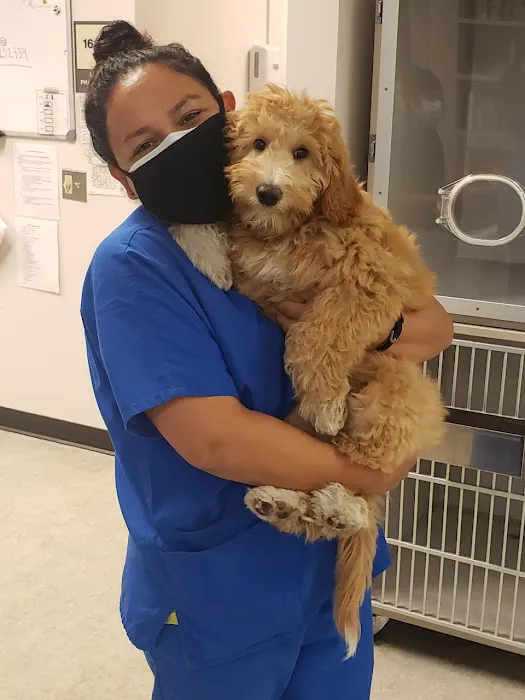 Medical District Veterinary Clinic at Illinois Picture 6