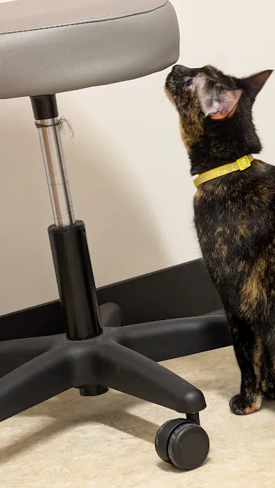 Medical District Veterinary Clinic at Illinois Picture 9