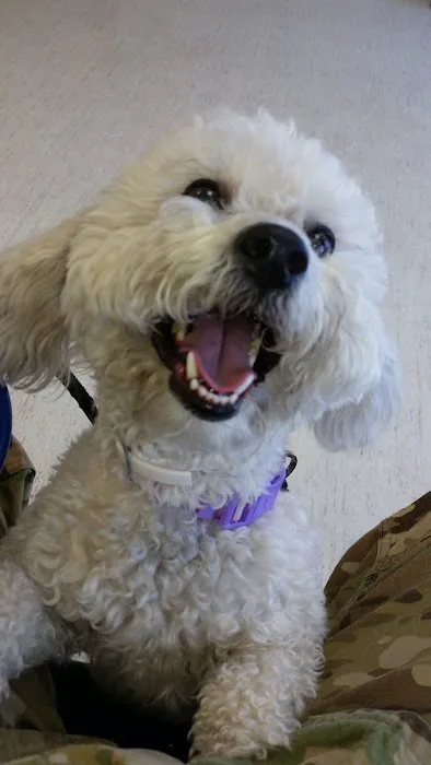 Fort Bliss Veterinary Treatment Facility Picture 2