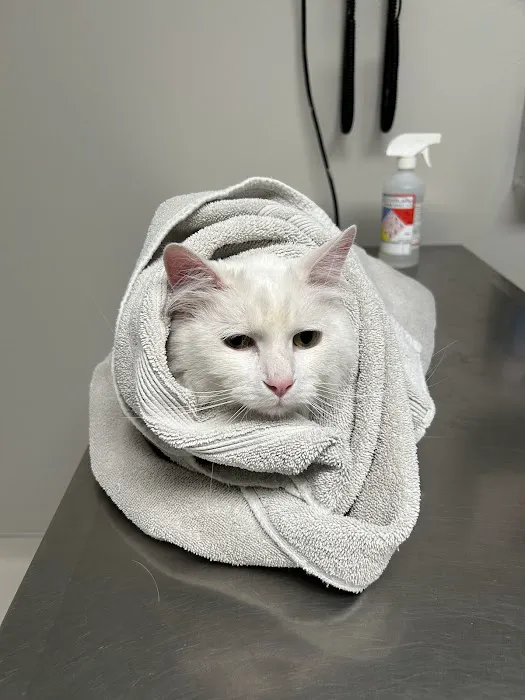 Fort Bliss Veterinary Treatment Facility Picture 1