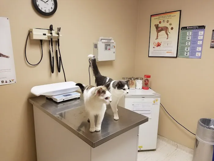 Fort Bliss Veterinary Treatment Facility Picture 7