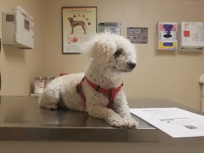 Fort Bliss Veterinary Treatment Facility Picture 6