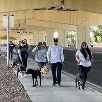 The Veterinary Care Centers of Texas ico