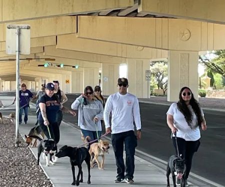 The Veterinary Care Centers of Texas