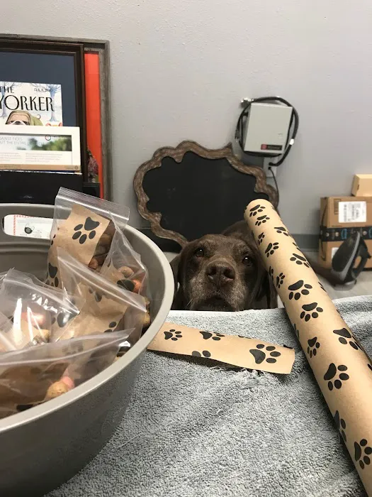 The Veterinary Care Centers of Texas Picture 7