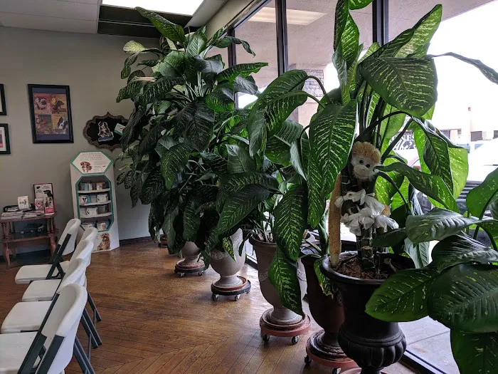 The Veterinary Care Centers of Texas Picture 9