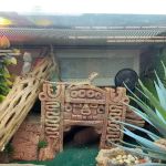 Banfield Pet Hospital