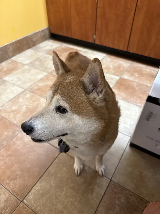 Banfield Pet Hospital Picture 5