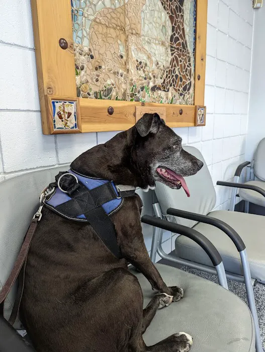 Coronado Animal Clinic Picture 4