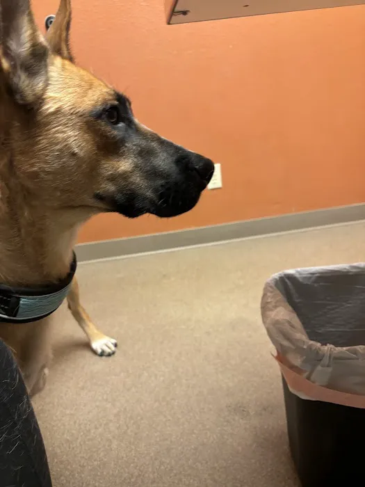 Crossroads Animal Hospital Picture 1