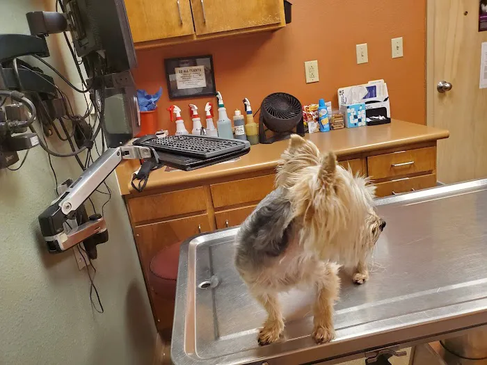 Crossroads Animal Hospital Picture 2