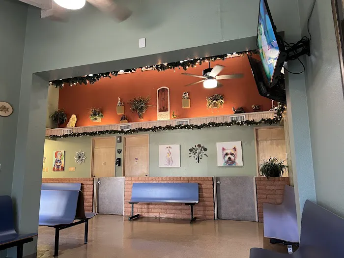 Crossroads Animal Hospital Picture 5