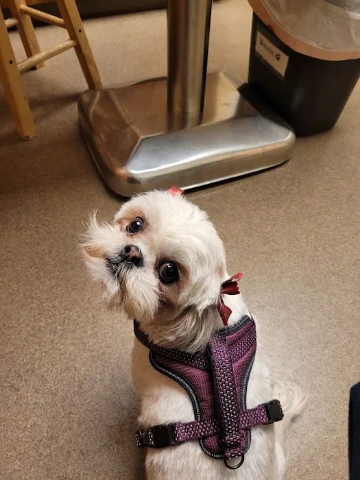 Crossroads Animal Hospital Picture 6