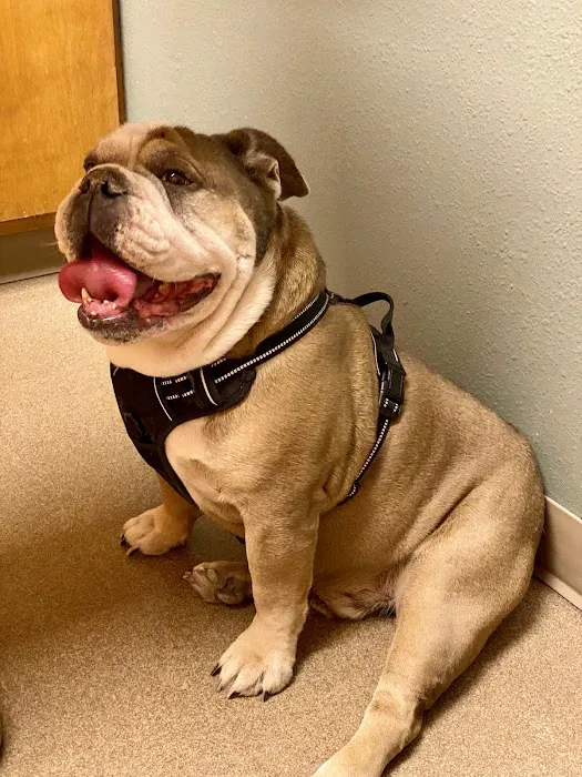Crossroads Animal Hospital Picture 9