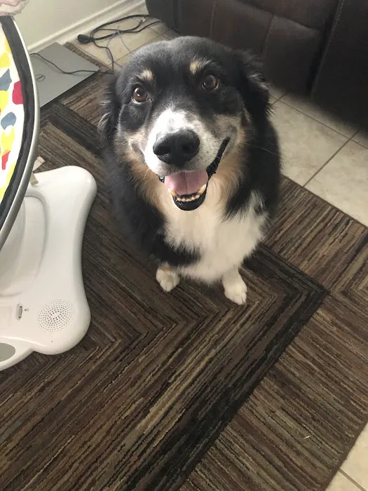 Foothills Animal Clinic Picture 3