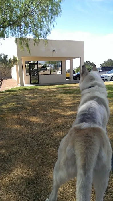 Sun City Veterinary Surgery Center Picture 2