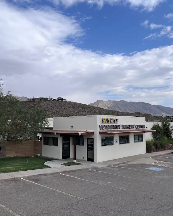 Sun City Veterinary Surgery Center Picture 4