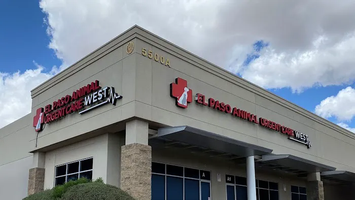 El Paso Animal Urgent Care West Picture 9