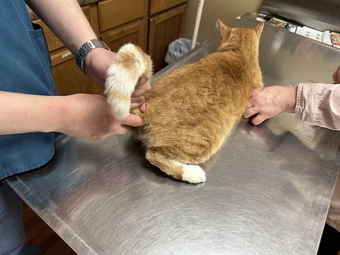 Delta Animal Hospital Picture 4