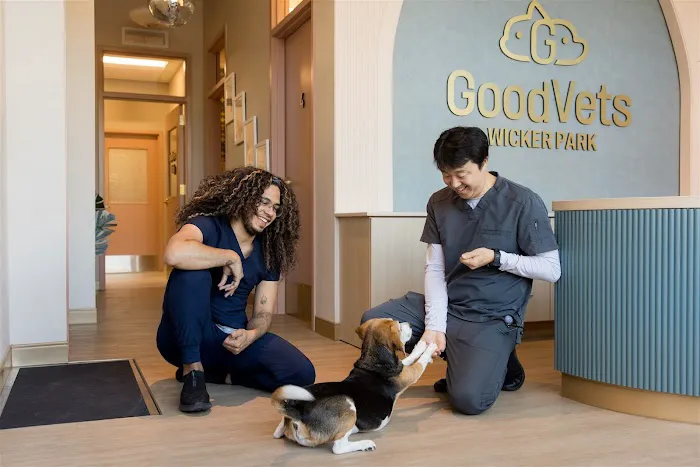GoodVets Wicker Park Picture 9