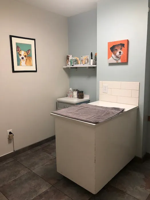 Madison Park Veterinary Hospital Picture 6