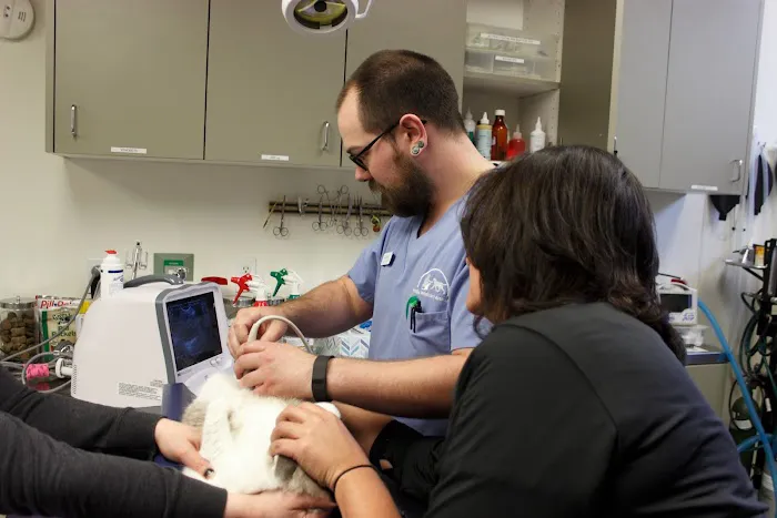 Queen Anne Animal Clinic Picture 1