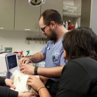 Queen Anne Animal Clinic ico