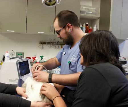 Queen Anne Animal Clinic