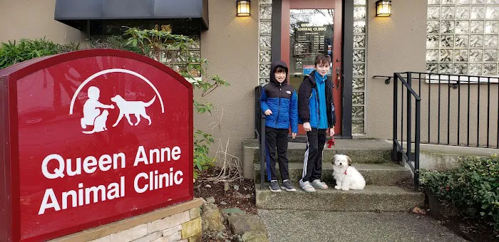 Queen Anne Animal Clinic Picture 10