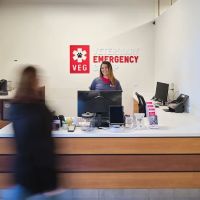 Veterinary Emergency Group ico