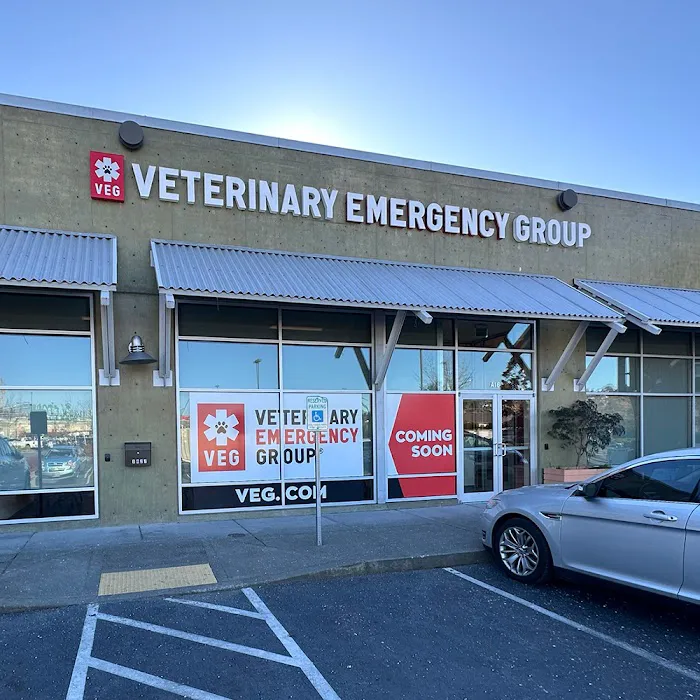 Veterinary Emergency Group Picture 9