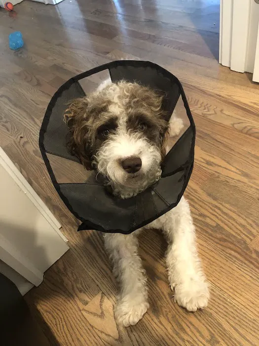 Elliott Bay Animal Hospital Picture 1