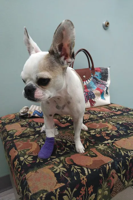Elliott Bay Animal Hospital Picture 4