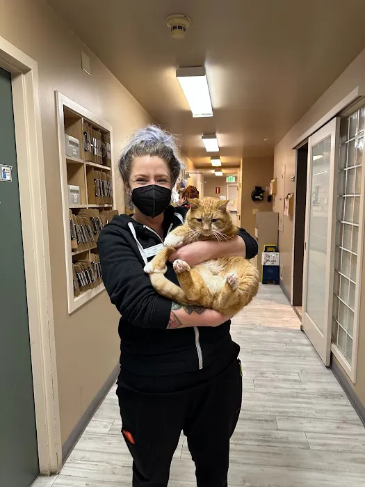 Elliott Bay Animal Hospital Picture 6