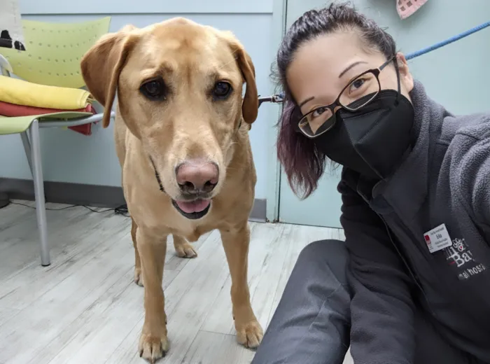 Elliott Bay Animal Hospital Picture 9
