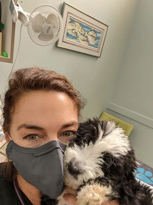 Elliott Bay Animal Hospital Picture 10