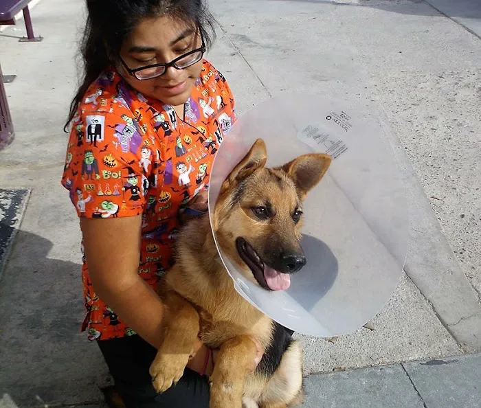 Ambassador Long Beach Veterinary Hospital Picture 5
