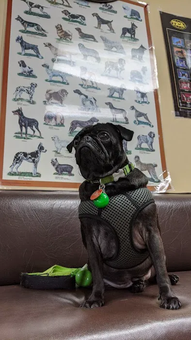 Ambassador Long Beach Veterinary Hospital Picture 6