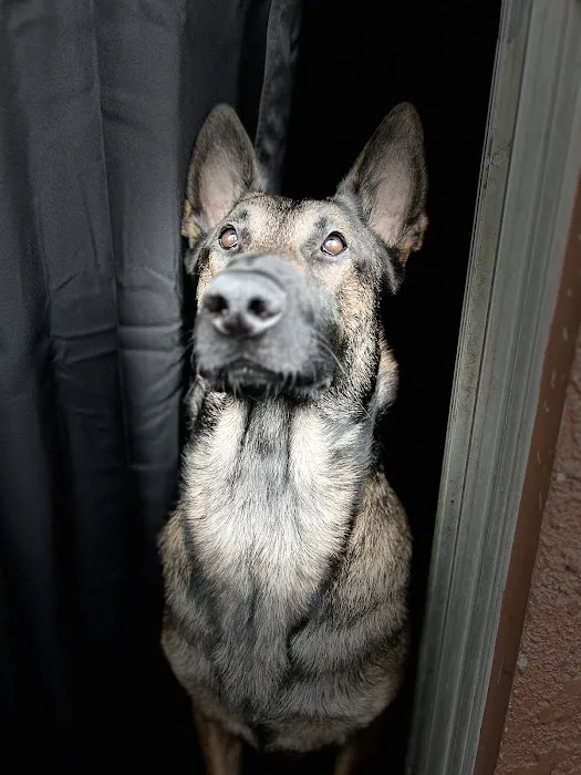 Ambassador Long Beach Veterinary Hospital Picture 2