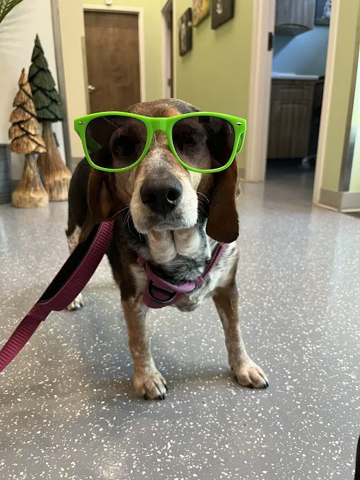 Pacific City Veterinary Care Picture 8