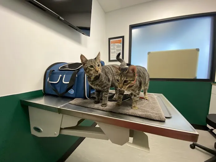 Fremont Animal Hospital Picture 2