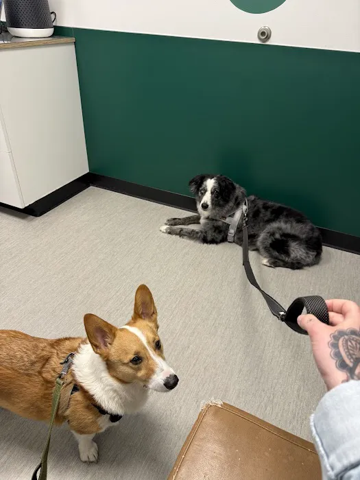 Fremont Animal Hospital Picture 1