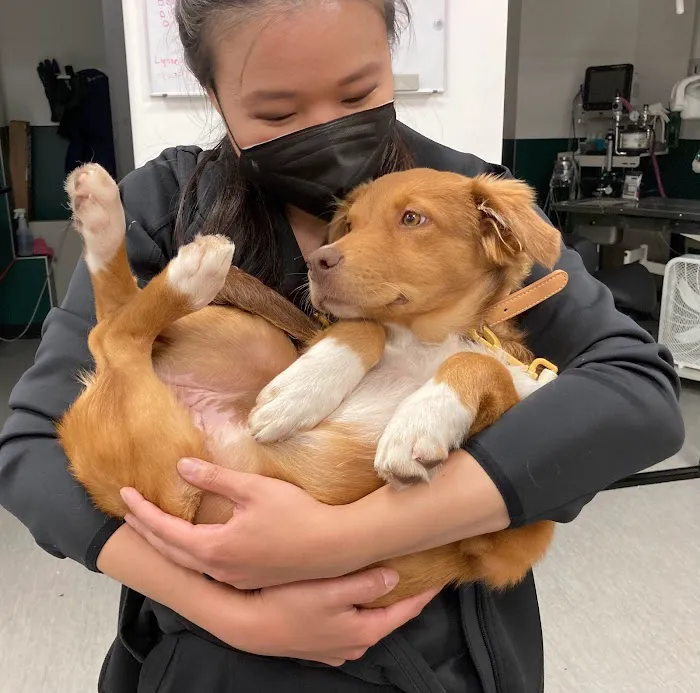 Fremont Animal Hospital Picture 4