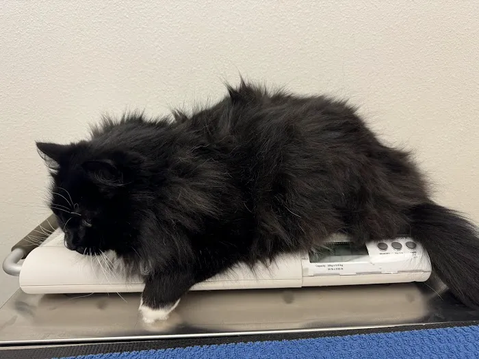 Columbia City Veterinary Hospital Picture 10