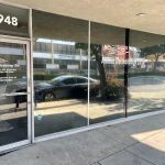 Animal Dermatology Clinic