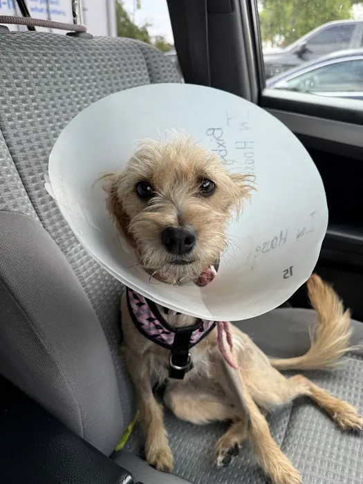 Bixby Animal Clinic Picture 6