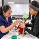 Bixby Animal Clinic