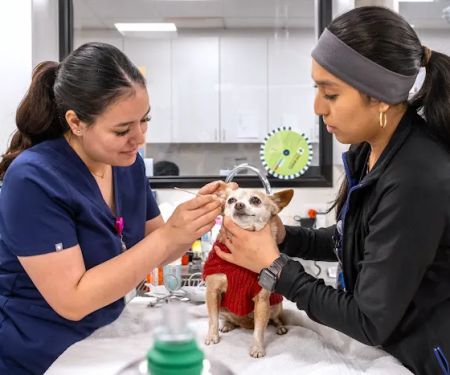 Bixby Animal Clinic