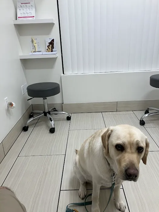 Bixby Animal Clinic Picture 7